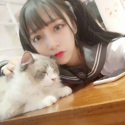 奇迹无双gm手游下载